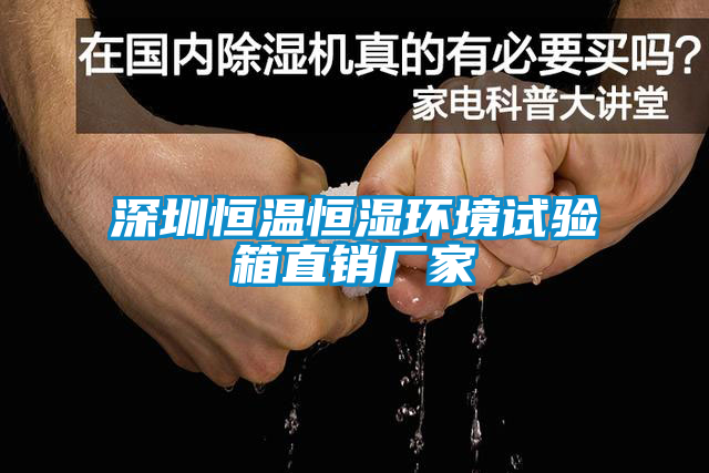 深圳恒温恒湿环境试验箱直销厂家