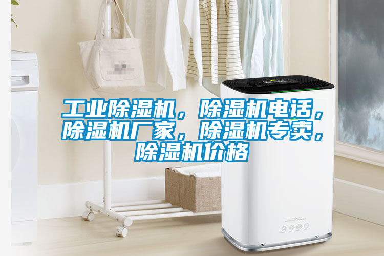 星空娱乐彩票是什么网站，除湿机电话，除湿机厂家，除湿机专卖，除湿机价格