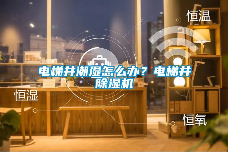 电梯井潮湿怎么办？电梯井除湿机