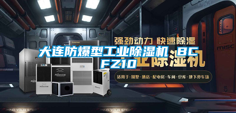 大连防爆型星空娱乐彩票是什么网站 BCFZ10