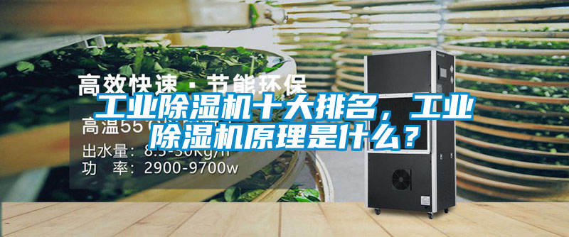 星空娱乐彩票是什么网站十大排名，星空娱乐彩票是什么网站原理是什么？