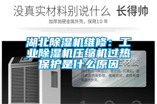 湖北除湿机维修：星空娱乐彩票是什么网站压缩机过热保护是什么原因