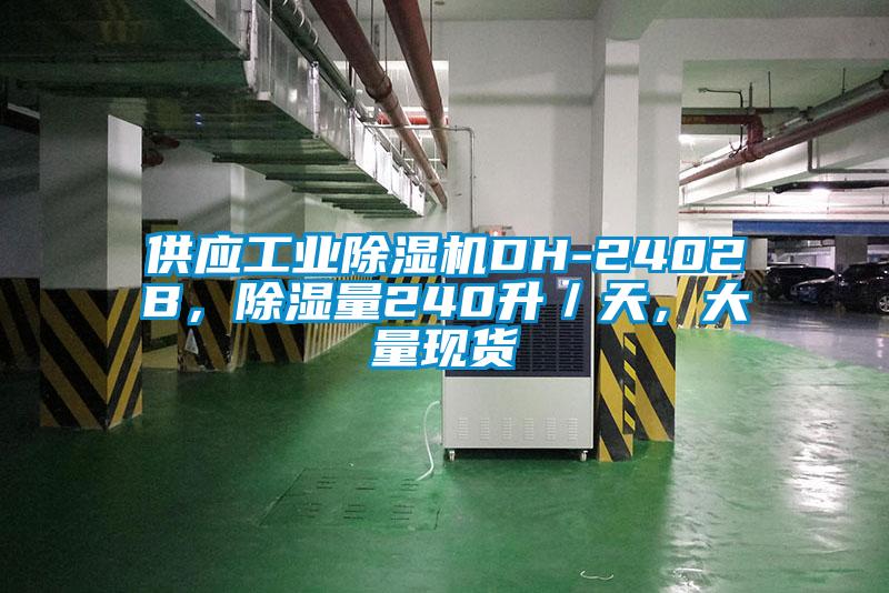 供应星空娱乐彩票是什么网站DH-2402B，除湿量240升／天，大量现货