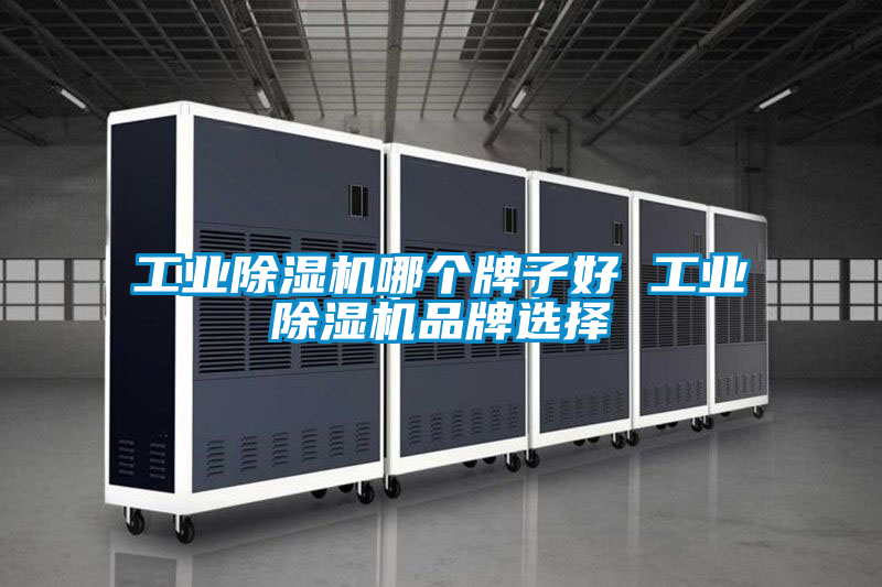 星空娱乐彩票是什么网站哪个牌子好 星空娱乐彩票是什么网站品牌选择