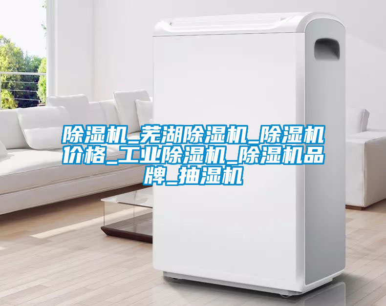 除湿机_芜湖除湿机_除湿机价格_星空娱乐彩票是什么网站_除湿机品牌_抽湿机