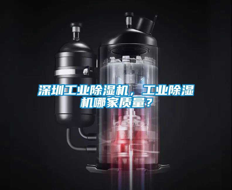 深圳星空娱乐彩票是什么网站，星空娱乐彩票是什么网站哪家质量？