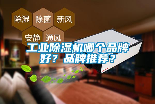 星空娱乐彩票是什么网站哪个品牌好？品牌推荐？