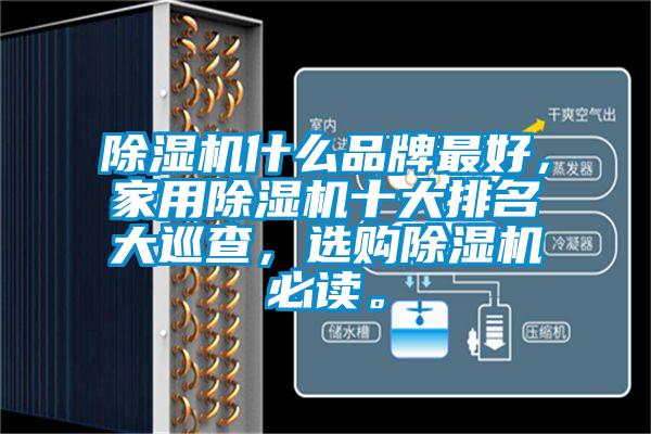除湿机什么品牌最好，星空体育app官网十大排名大巡查，选购除湿机必读。