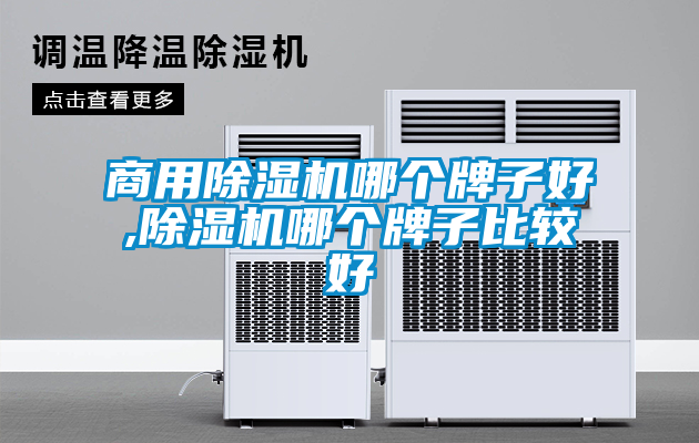 星空app官网下载手机版哪个牌子好,除湿机哪个牌子比较好