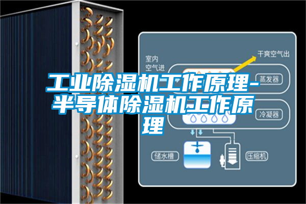 星空娱乐彩票是什么网站工作原理-半导体除湿机工作原理