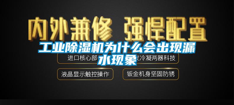 星空娱乐彩票是什么网站为什么会出现漏水现象