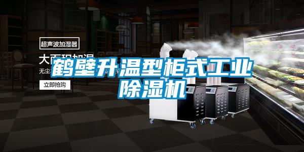鹤壁升温型柜式星空娱乐彩票是什么网站