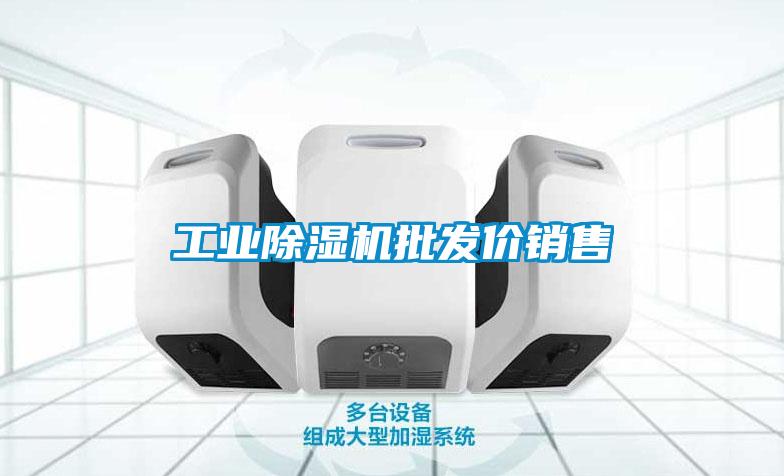 星空娱乐彩票是什么网站批发价销售