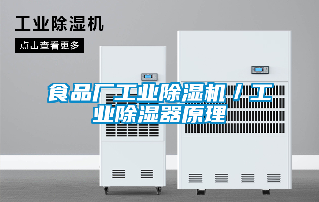 食品厂星空娱乐彩票是什么网站／工业除湿器原理