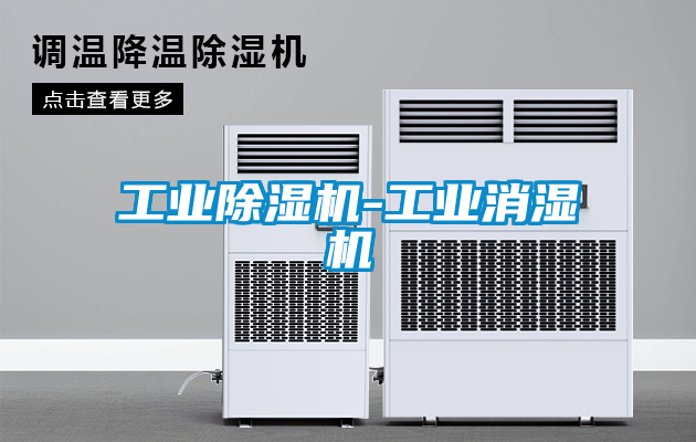 星空娱乐彩票是什么网站-工业消湿机