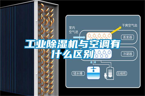 星空娱乐彩票是什么网站与空调有什么区别