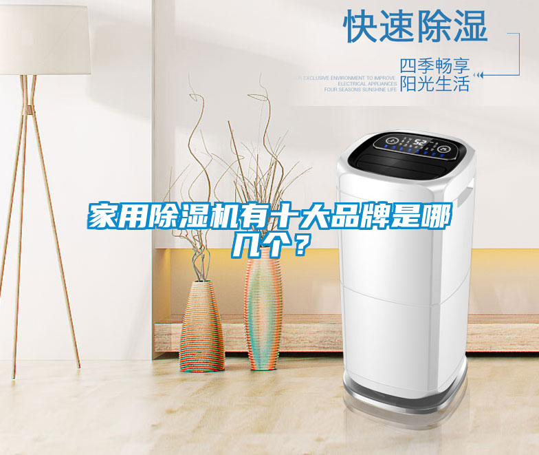 星空体育app官网有十大品牌是哪几个？