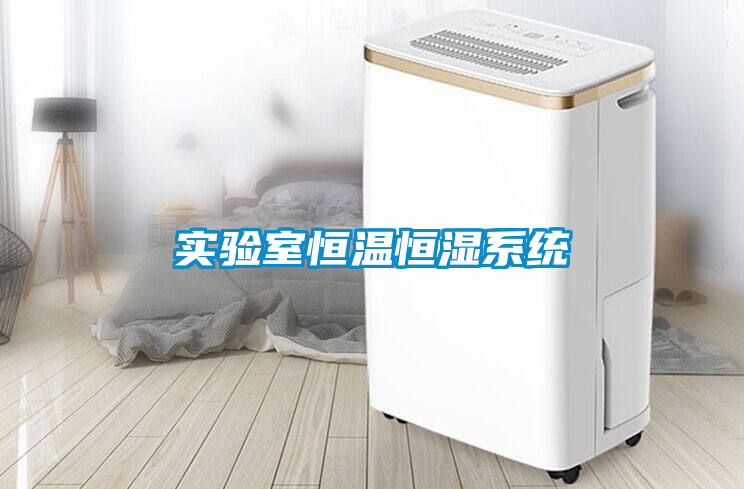实验室恒温恒湿系统