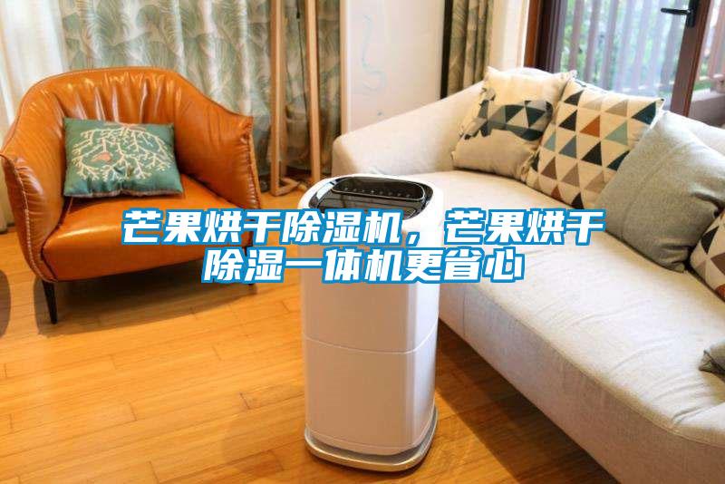 芒果烘干除湿机，芒果烘干除湿一体机更省心