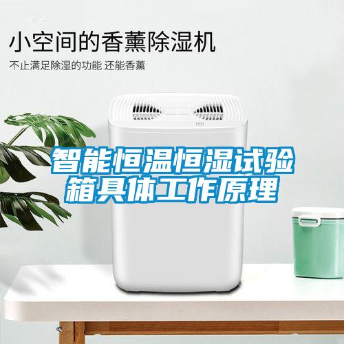 智能恒温恒湿试验箱具体工作原理