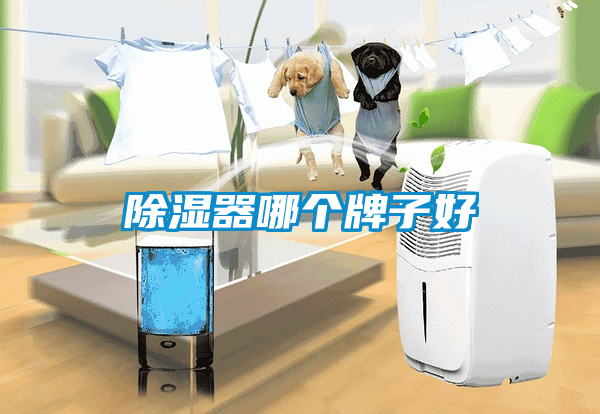 除湿器哪个牌子好