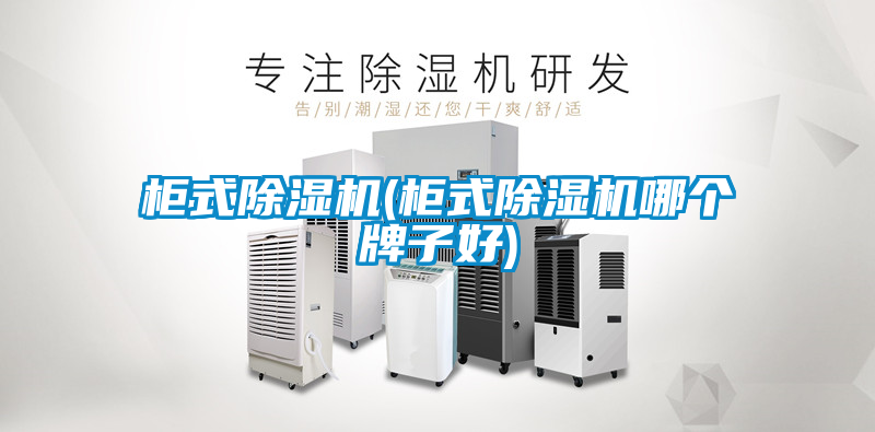 柜式除湿机(柜式除湿机哪个牌子好)