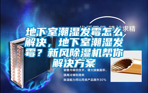 地下室潮湿发霉怎么解决，地下室潮湿发霉？新风除湿机帮你星空app6下载