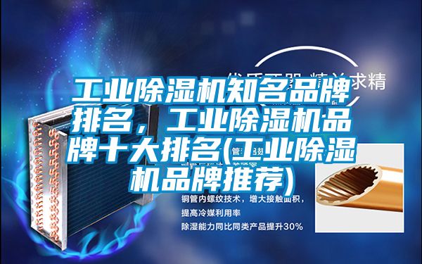 星空娱乐彩票是什么网站知名品牌排名，星空娱乐彩票是什么网站品牌十大排名(星空娱乐彩票是什么网站品牌推荐)