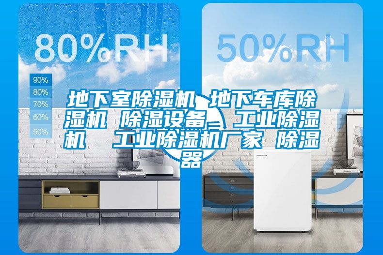 地下室除湿机 地下车库除湿机 除湿设备  星空娱乐彩票是什么网站  星空娱乐彩票是什么网站厂家 除湿器