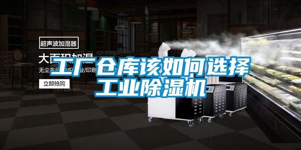 工厂仓库该如何选择星空娱乐彩票是什么网站