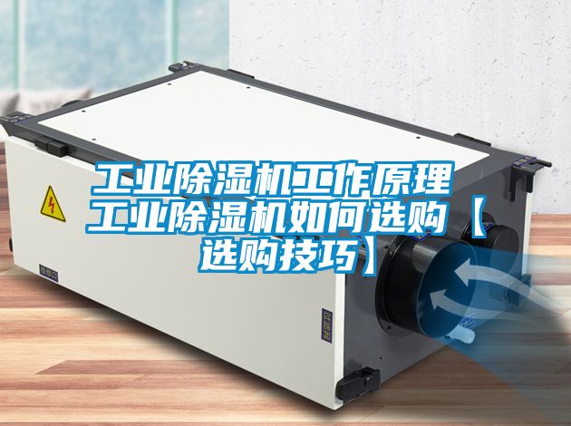 星空娱乐彩票是什么网站工作原理 星空娱乐彩票是什么网站如何选购【选购技巧】