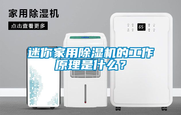 迷你星空体育app官网的工作原理是什么？