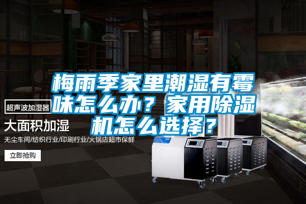 梅雨季家里潮湿有霉味怎么办？星空体育app官网怎么选择？