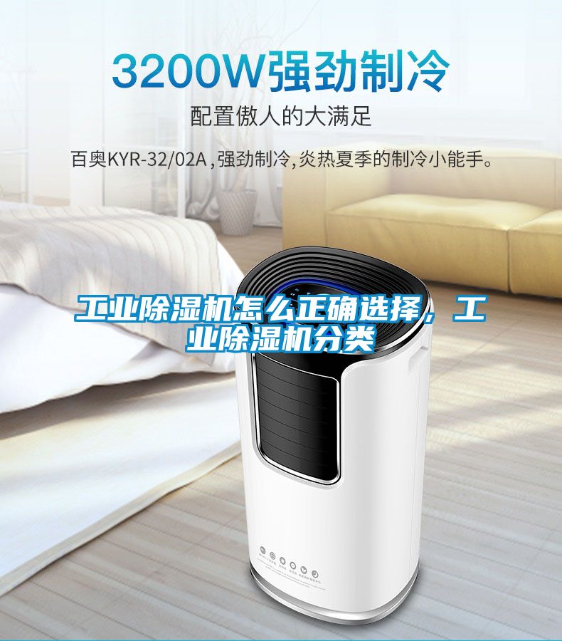 星空娱乐彩票是什么网站怎么正确选择，星空娱乐彩票是什么网站分类
