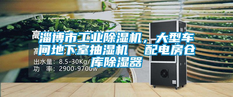 淄博市星空娱乐彩票是什么网站，大型车间地下室抽湿机  配电房仓库除湿器