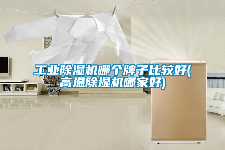星空娱乐彩票是什么网站哪个牌子比较好(高温除湿机哪家好)