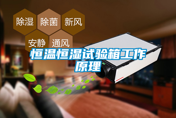 恒温恒湿试验箱工作原理