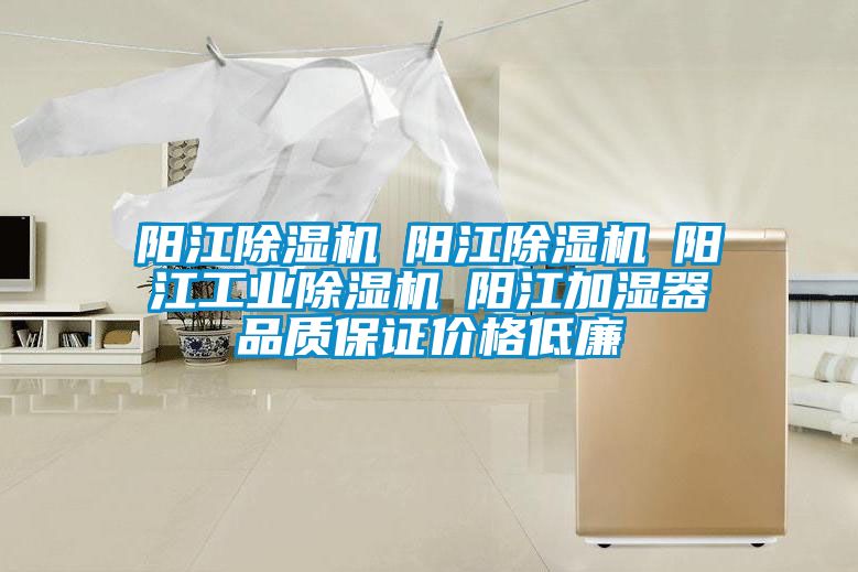 阳江除湿机☆阳江除湿机☆阳江星空娱乐彩票是什么网站☆阳江加湿器品质保证价格低廉