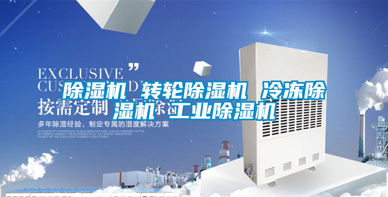 除湿机 转轮除湿机 冷冻除湿机 星空娱乐彩票是什么网站
