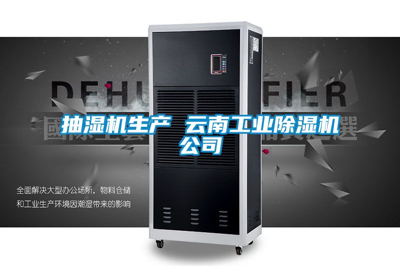 抽湿机生产 云南星空娱乐彩票是什么网站公司