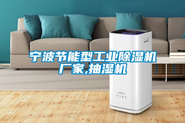 宁波节能型星空娱乐彩票是什么网站厂家,抽湿机