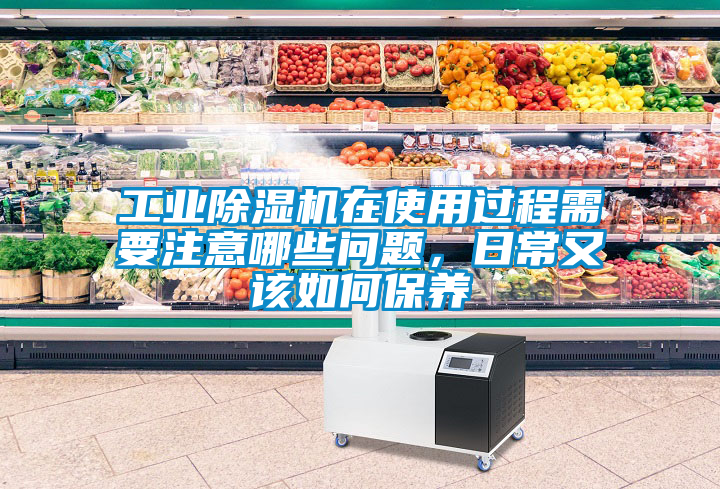 星空娱乐彩票是什么网站在使用过程需要注意哪些问题，日常又该如何保养