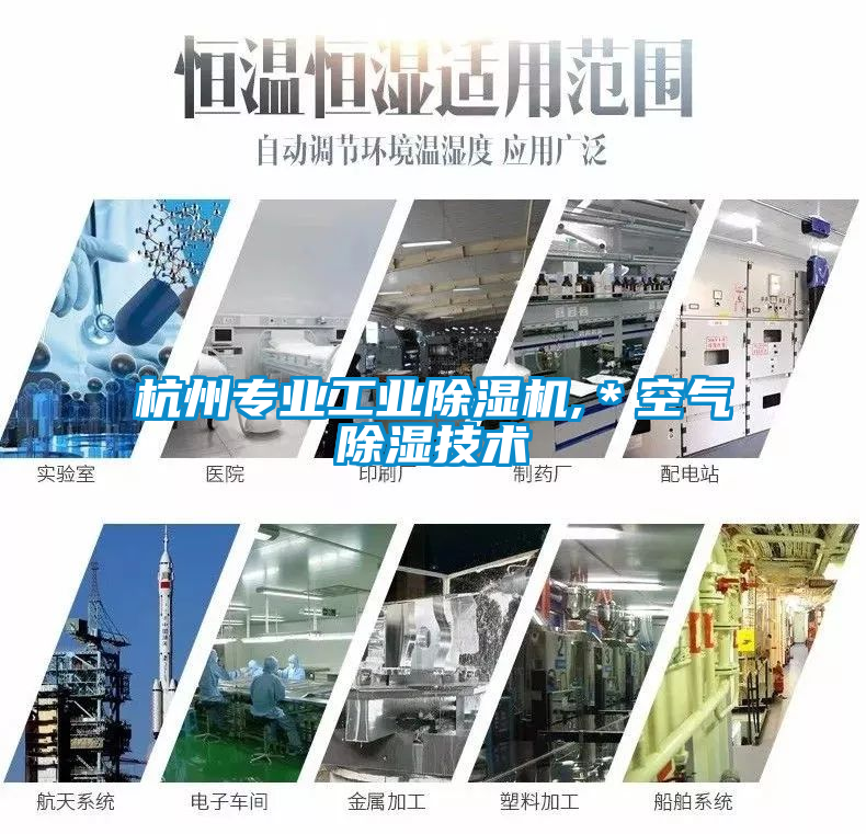 杭州专业星空娱乐彩票是什么网站,＊空气除湿技术