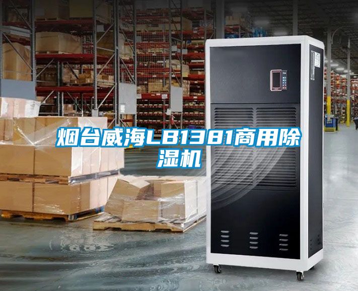 烟台威海LB1381星空app官网下载手机版