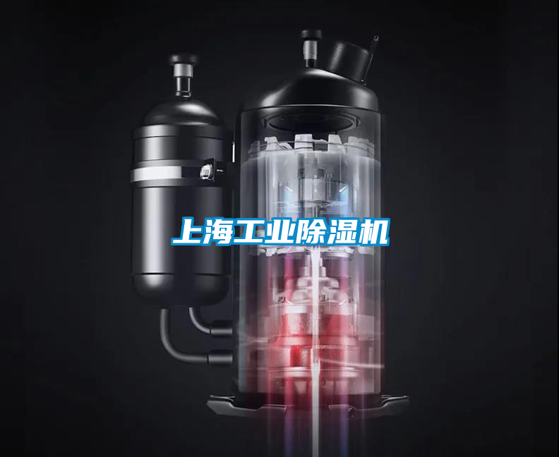 上海星空娱乐彩票是什么网站