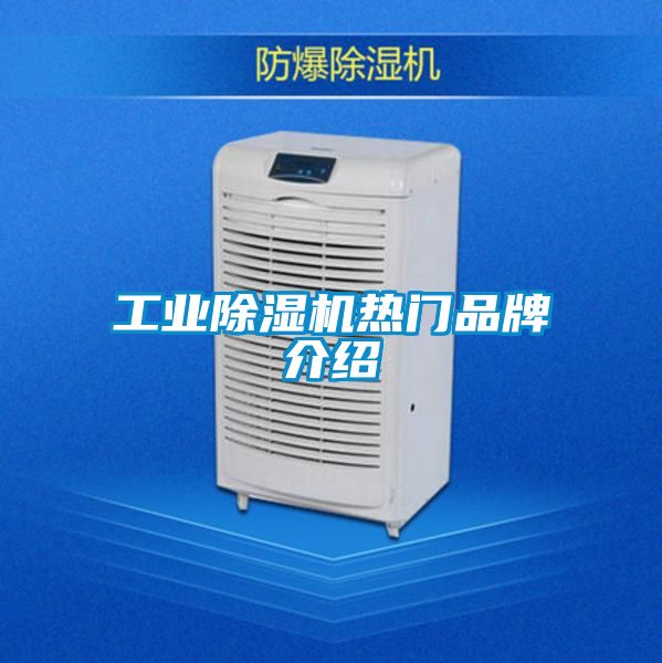 星空娱乐彩票是什么网站热门品牌介绍