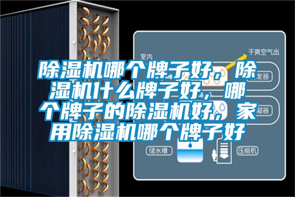 除湿机哪个牌子好，除湿机什么牌子好，哪个牌子的除湿机好，星空体育app官网哪个牌子好