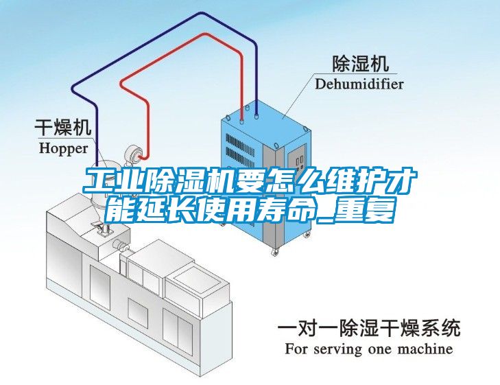 星空娱乐彩票是什么网站要怎么维护才能延长使用寿命_重复