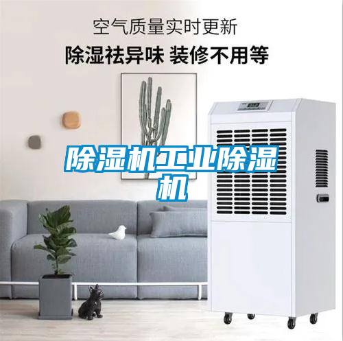 除湿机星空娱乐彩票是什么网站