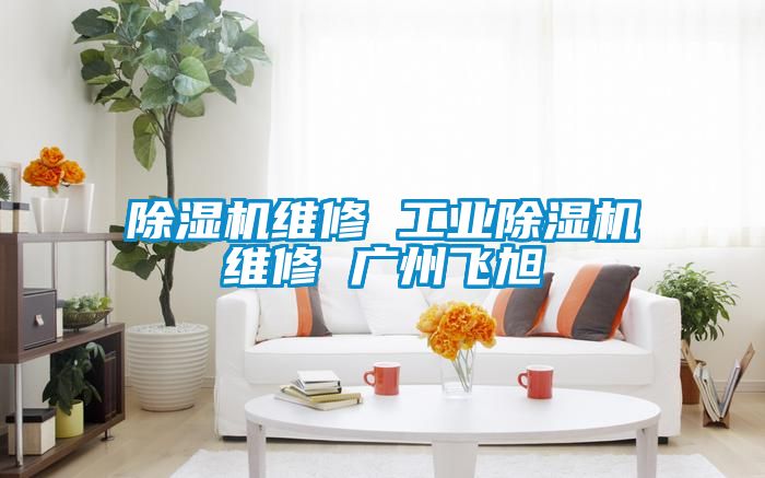 除湿机维修 星空娱乐彩票是什么网站维修 广州飞旭